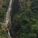 利川立达家政服务