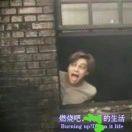 燕子的春天