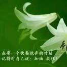 平平淡淡过一生