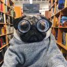 上海最后的单纯