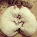 守护宝宝的天使