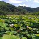 贵州沿河南木技术咨询有限责任公司总监