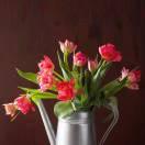 宋记，仁义冰糖黄粑