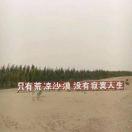 边城苍狼