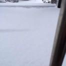 .＾莫～然＊、、