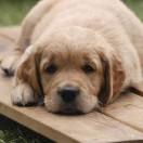 透过指间望着天