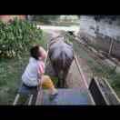 勇敢的不是你是十八岁