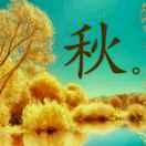 新星服饰广场（罗村）