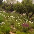 乐由心生，苦也心生