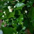 家的温暖，李姐