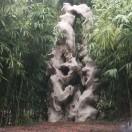 AAA阳光