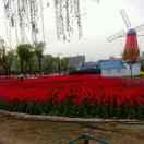 平平淡淡才是真