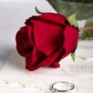 💞 莉莉💞 💍