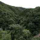 得了！改个名字吧