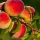 无奈人生_240119169