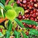 天空飘来五个字