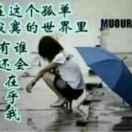 爱的世界只有你1284