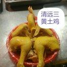 鹏