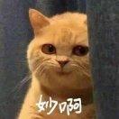 网恋被骗28块🌈
