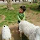 @玲子《拒私聊》