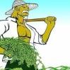 草莓 崔