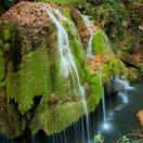 严世明&北大西洋鱼虾