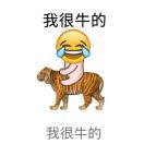 董道林头像