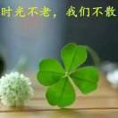 平衡