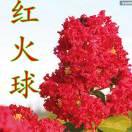 笑对人生