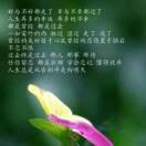 一切随缘