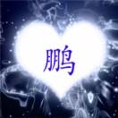 鹏