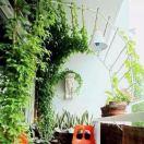 江苏畅动体育科技