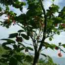 又是一年三月三