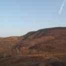 重生的我在焦作配送散称食品