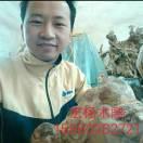 金丝楠木小摆件工艺品