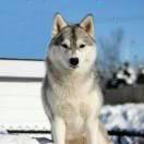 *❀༒就要用符号༒❀*