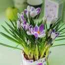 文华中药养生。