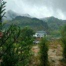 凤姐最有范儿☞