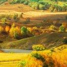 金旺角生活超市小小地方su直播号