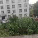 李忠才