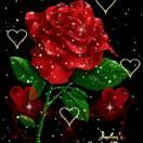  桃花岛主