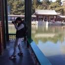 君为红颜醉
