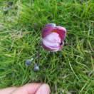 ꧁细水无声历芳华꧂