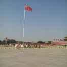 农……村:：……人