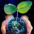 爱情是精神上的～奢侈品。没有也可以