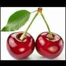 芳华1995.12-1998.12