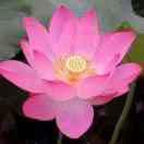 幸:-)福$_$的^_-家^_^:-:-)