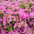 时光叫我别回头