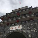 A发财树