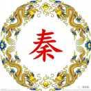 疼痛，骨科，秦